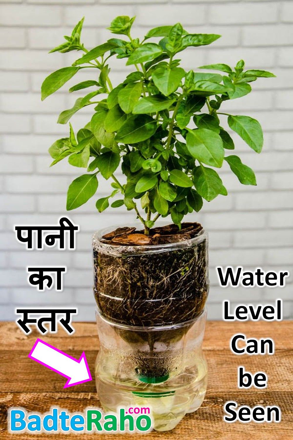 self watering plant pot water-level