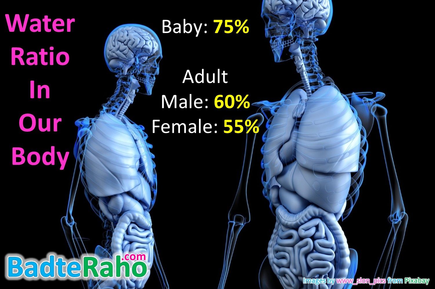 water-ratio-in-human-body