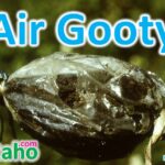 हमारे वीर जवान – कविता