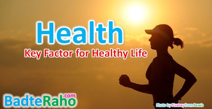 health-key-factor-for-life-badteraho.com